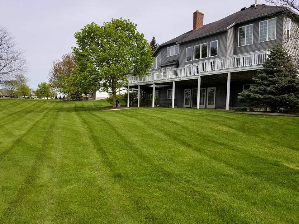 Expansive backyard lawn with crisp mowing stripes behind a two-story home