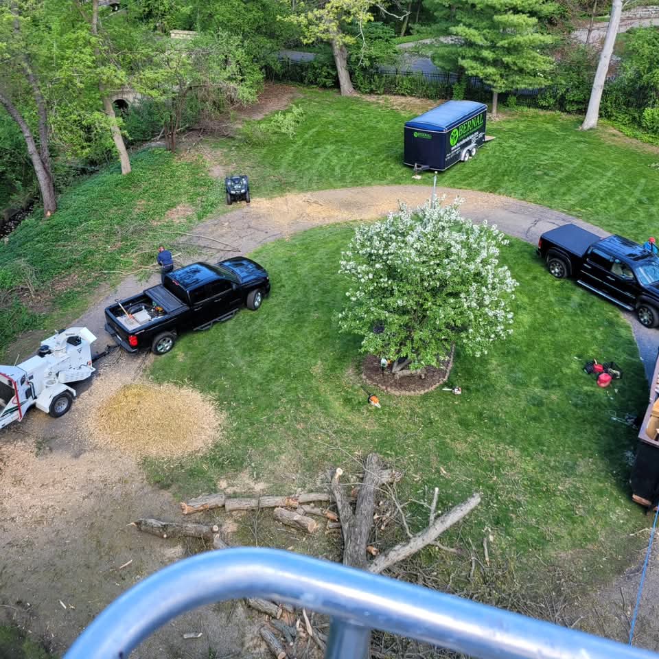 Aerial view of a Bernal Landscape tree-removal job site with a pile of cut log sections, a skid-steer, and crew trucks