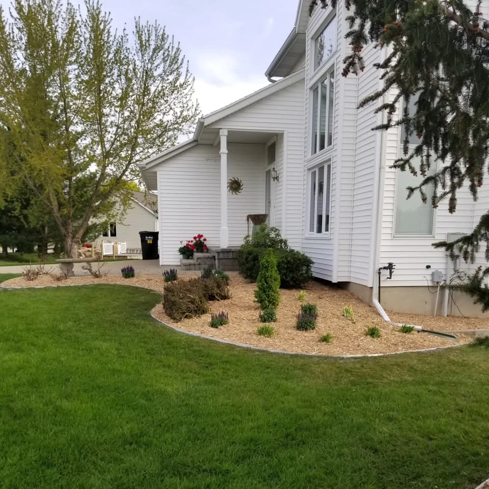 Front yard landscape bed with wood chip mulch, flowering shrubs, evergreens, and curved edging at a white house