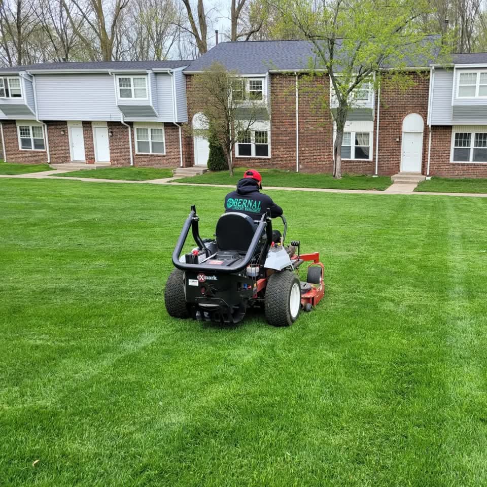 Bernal Landscape crew member mowing a striped green lawn on a zero-turn mower