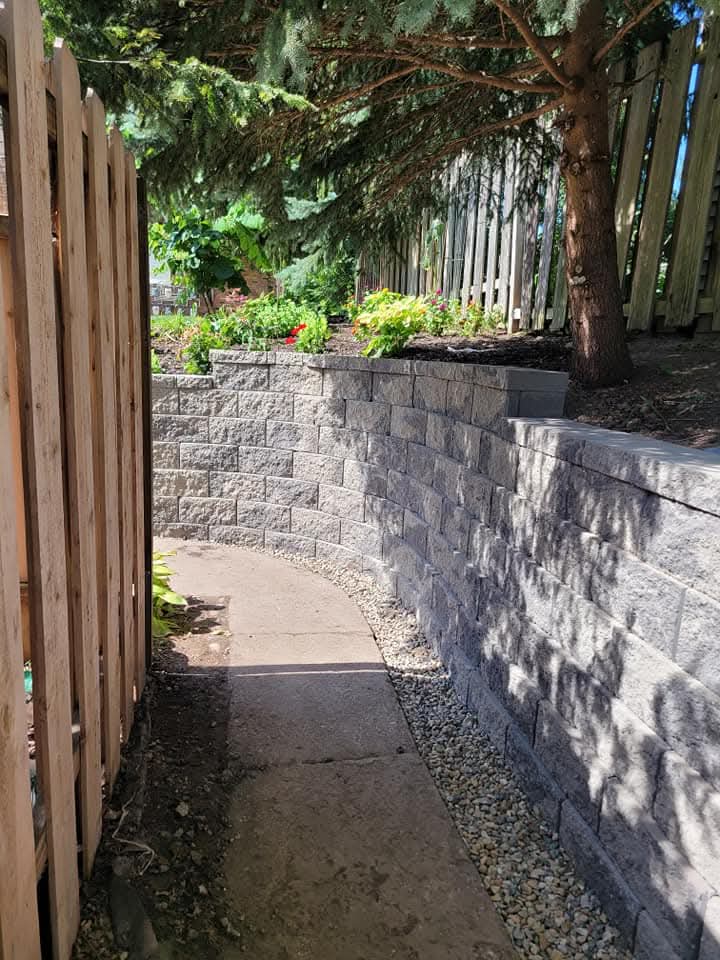 Gray block retaining wall with cap stones and block steps running along a narrow concrete walkway between a new cedar fence and a raised garden bed with hostas and plants, mature trees overhead